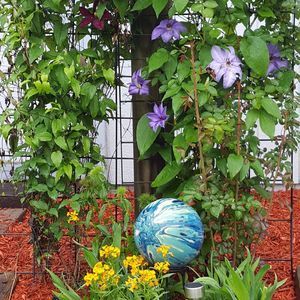 Meet your Posher, Gloria